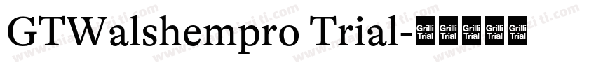 GTWalshempro Trial字体转换